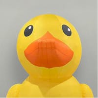 Lucky Duck at Heritage Chrysler Dodge Jeep Ram Owings Mills