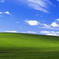 Luka Darowski at INFINITI of Hoffman Estates