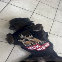 LAYA NISSAN GREETER at Beck Nissan