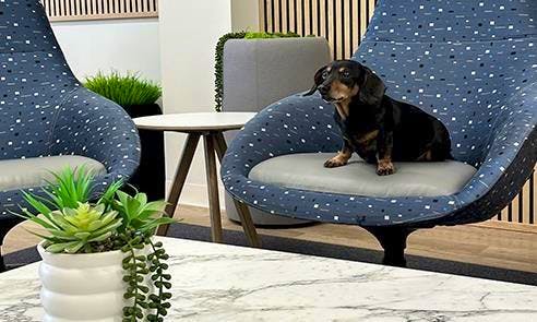 Bianchi Honda, Erie, PA, 16509