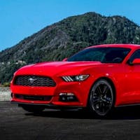 Cameron Salimi at Alexandria Volkswagen