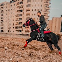 Mohammed Hassouna at Nissan of Tustin