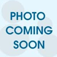 Kent Peterson at Spitzer Chevrolet North Canton