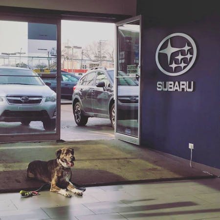 Berman Subaru of Chicago, Chicago, IL, 60641
