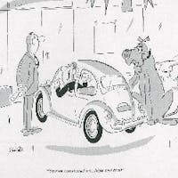 Larry Riddle at Lakeland Volkswagen