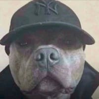 CJ Lewis at Jeff Belzer's Lakeville