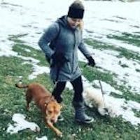 Dahl Automotive La Crosse - La Crosse, WI  Cars.com