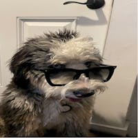 Nick Ivankin at Mazda of Port Charlotte