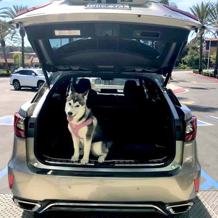 South County Lexus, Mission Viejo, CA, 92692