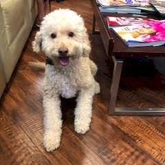 South County Lexus, Mission Viejo, CA, 92692