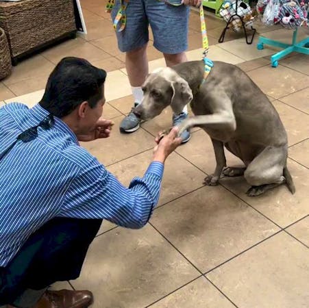 South County Lexus, Mission Viejo, CA, 92692