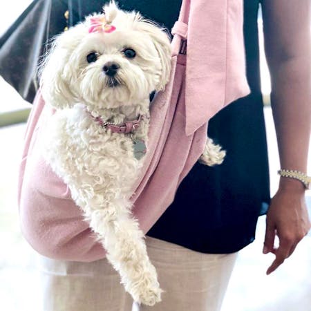 South County Lexus, Mission Viejo, CA, 92692